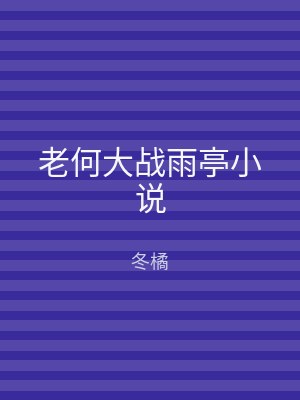 老何大战雨亭小说