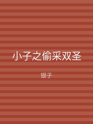 小子之偷采双圣