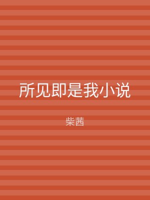 所见即是我小说
