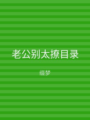 老公别太撩目录