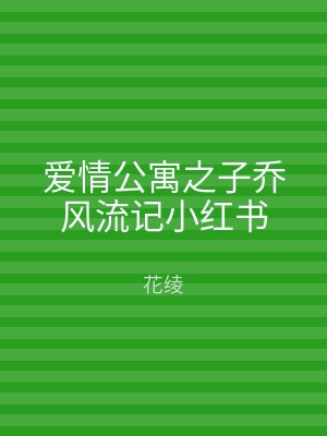 爱情公寓之子乔风流记小红书