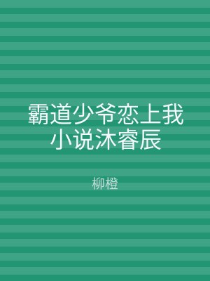 霸道少爷恋上我小说沐睿辰