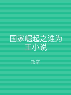 国家崛起之谁为王小说