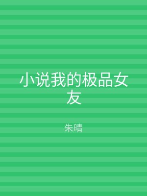 小说我的极品女友