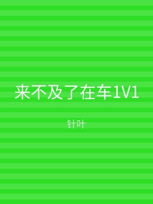 来不及了在车1V1