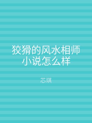 狡猾的风水相师小说怎么样