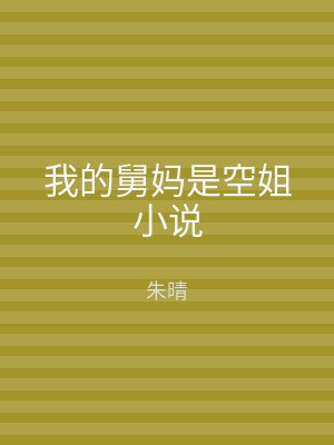 我的舅妈是空姐小说