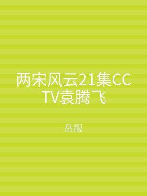 两宋风云21集CCTV袁腾飞