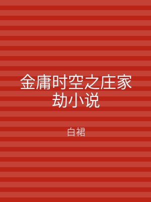 金庸时空之庄家劫小说