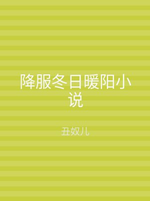 降服冬日暖阳小说