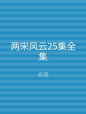 两宋风云25集全集