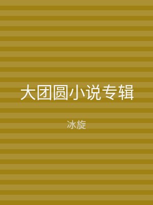 大团圆小说专辑
