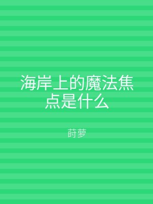 海岸上的魔法焦点是什么