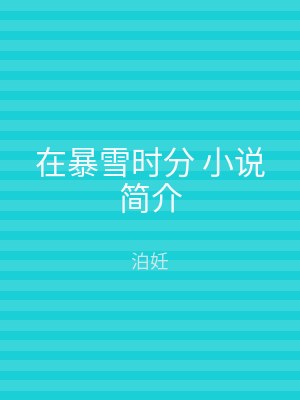 在暴雪时分 小说简介