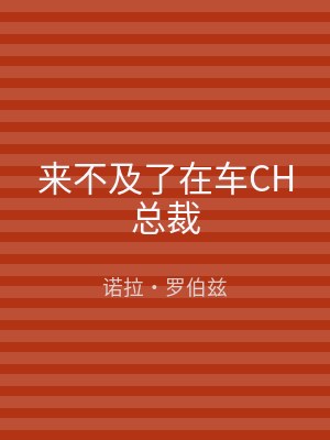 来不及了在车CH总裁