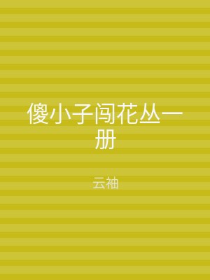 傻小子闯花丛一册