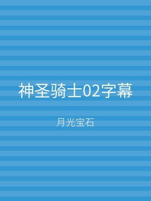 神圣骑士02字幕