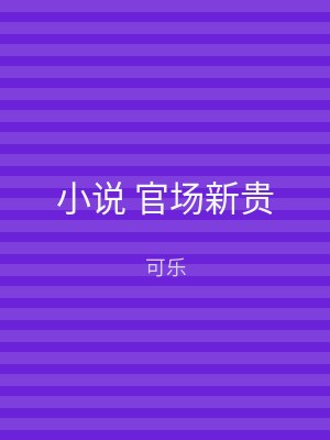 小说 官场新贵