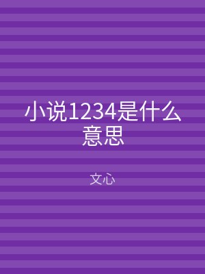小说1234是什么意思