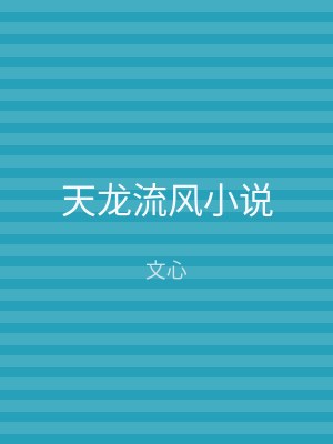 天龙流风小说