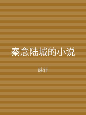秦念陆城的小说