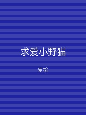 求爱小野猫