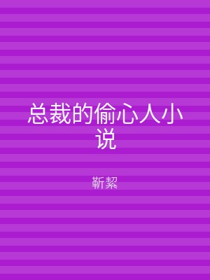 总裁的偷心人小说