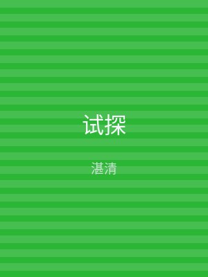 试探