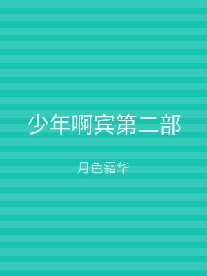 少年啊宾第二部