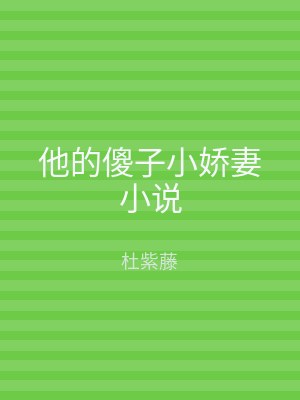 他的傻子小娇妻小说