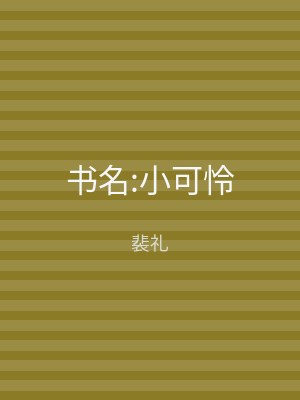 书名:小可怜