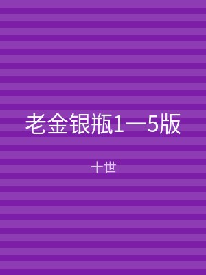 老金银瓶1一5版