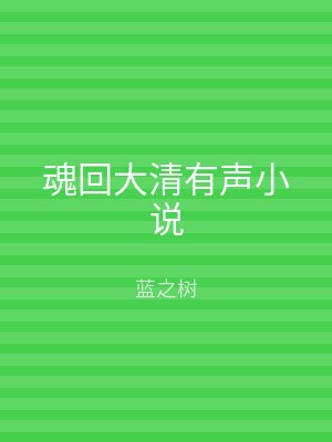 魂回大清有声小说