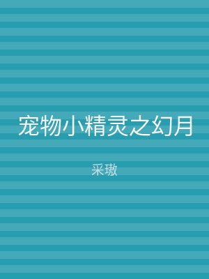 宠物小精灵之幻月