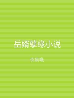 岳婿孽缘小说