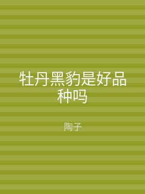 牡丹黑豹是好品种吗