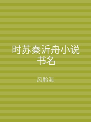 时苏秦沂舟小说书名