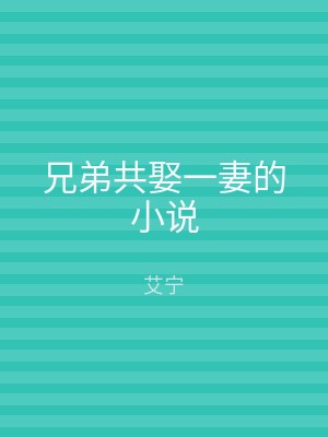 兄弟共娶一妻的小说