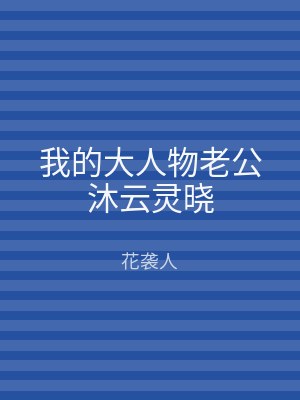 我的大人物老公沐云灵晓