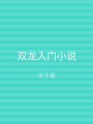 双龙入门小说