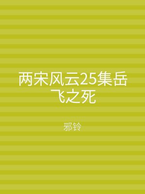两宋风云25集岳飞之死