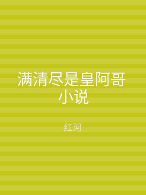 满清尽是皇阿哥 小说