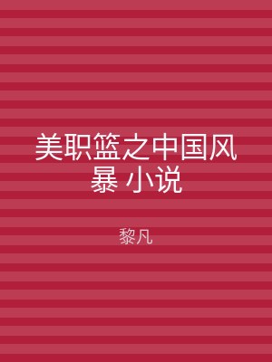 美职篮之中国风暴 小说