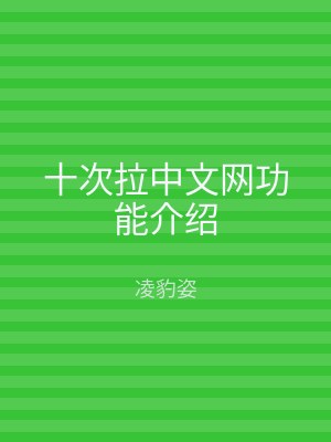 十次拉中文网功能介绍