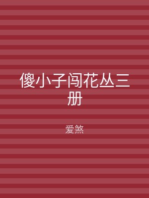 傻小子闯花丛三册