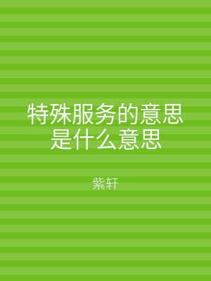 特殊服务的意思是什么意思