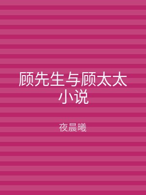 顾先生与顾太太小说