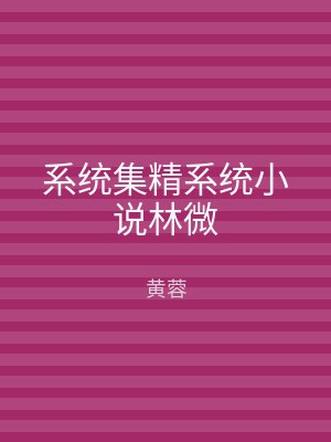 系统集精系统小说林微