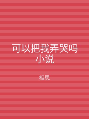 可以把我弄哭吗小说