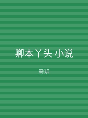 卿本丫头 小说